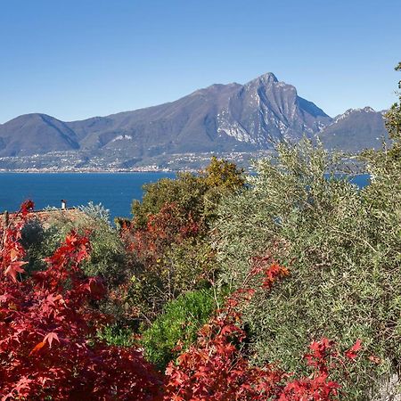Villa Loncrino - Fine Living Torri Del Benaco Eksteriør billede